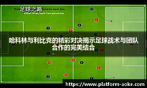 哈科林与利比克的精彩对决揭示足球战术与团队合作的完美结合