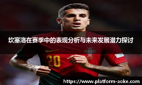 坎塞洛在赛季中的表现分析与未来发展潜力探讨